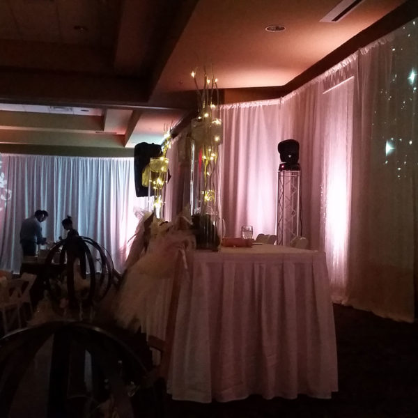 Sun Valley Wedding Lighting