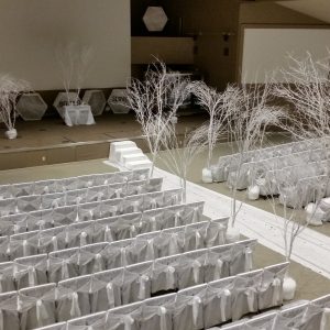 Chair Covers