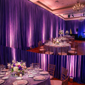 Purple Crinkle Taffeta Drapes