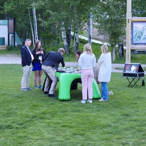 Giant Wack a Mole Game