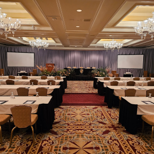 silver gray velour drapes for rent